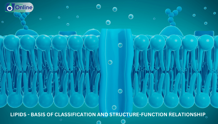 Lesson 09: Lipids - Basis of Classification and Structure-Function Relationship